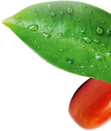 JujuBio Présentation